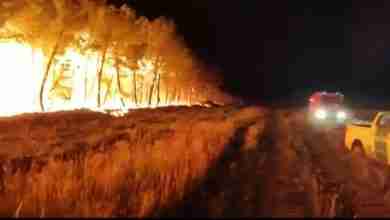 إسبانيا تحترق... والناس تطفئ النيران قبل أن تصل الدولة!