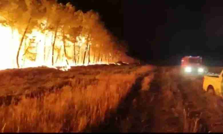 إسبانيا تحترق... والناس تطفئ النيران قبل أن تصل الدولة!