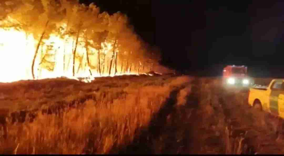 إسبانيا تحترق... والناس تطفئ النيران قبل أن تصل الدولة!