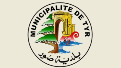 مصادرة مواد غذائية منتهية الصلاحية في صور