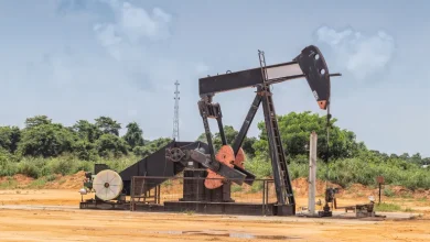 الحكومة الأنغولية تعلن انخفاض عائدات النفط بنسبة الثلث