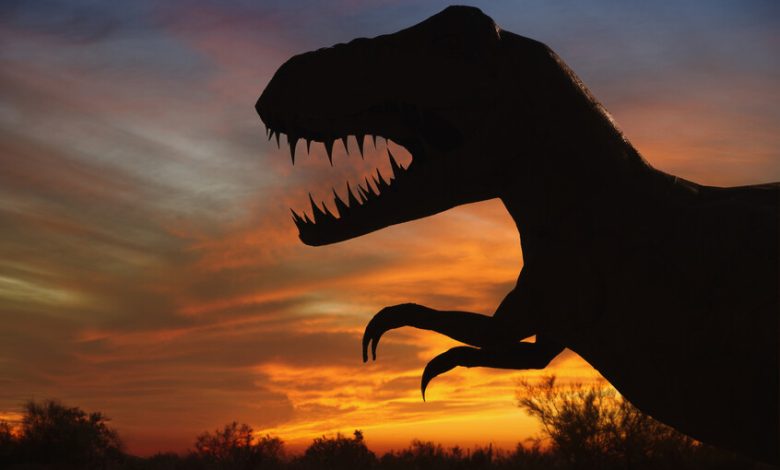 بصمة ديناصور من عصور ما قبل التاريخ تظهر اليوم... فما هو الاكتشاف الجديد؟