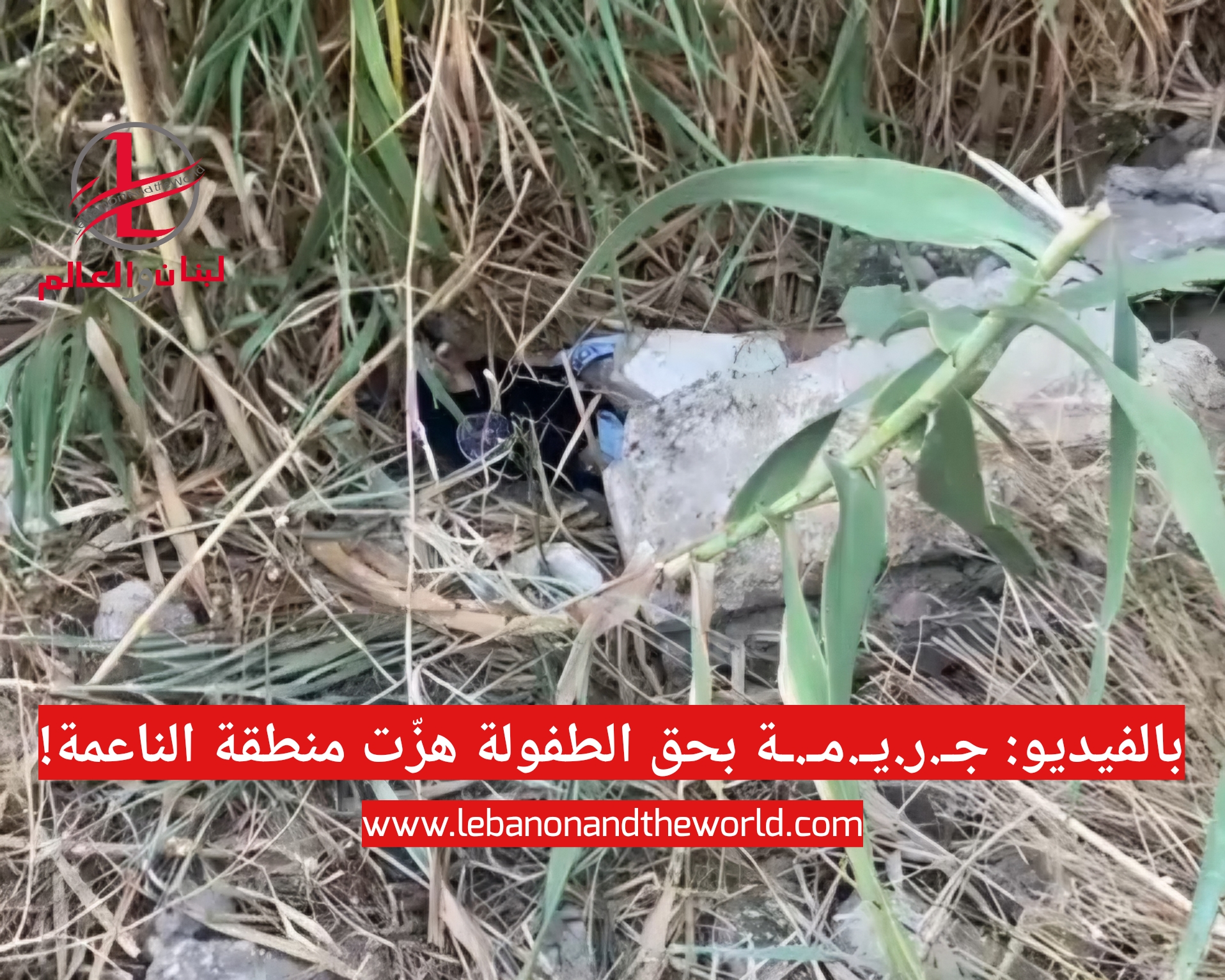 بالفيديو: جـ.ر.يـ.مـ.ـة بحق الطفولة هزّت منطقة الناعمة وبيان من قوى الأمن الداخلي!... هزّت جـ.ر.يـ.مـ.ـة سكان منطقة الناعمة مساء أمس بحادثة تقشعر لها الأبدان، وضحيتان تدمع العيون لبرائتها.