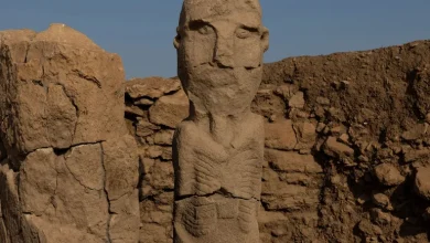 اكتشافات بجنوب شرق تركيا تشرح حياة البشر في العصر الحجري الحديث