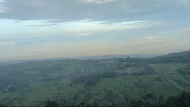 انهيار أرضي يودي بحياة 13 شخصا