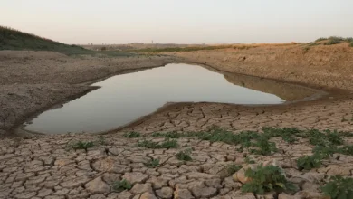 أسوأ موجة جفاف في سوريا تهدد بانعدام الأمن الغذائي
