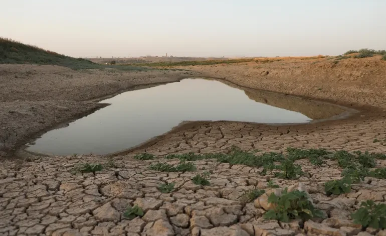 أسوأ موجة جفاف في سوريا تهدد بانعدام الأمن الغذائي