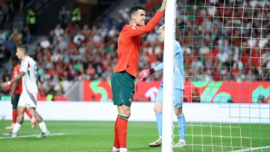 طلب غريب وغير متوقع لرونالدو قائد البرتغال من جماهير أيرلندا