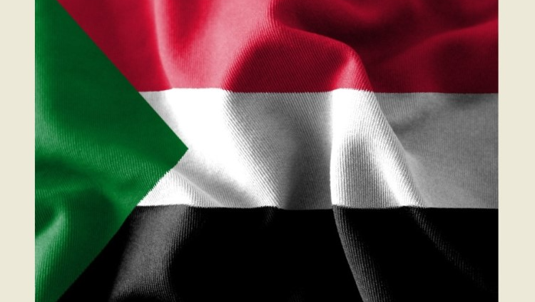 وزير الدفاع السوداني: الجيش سيواصل القتال