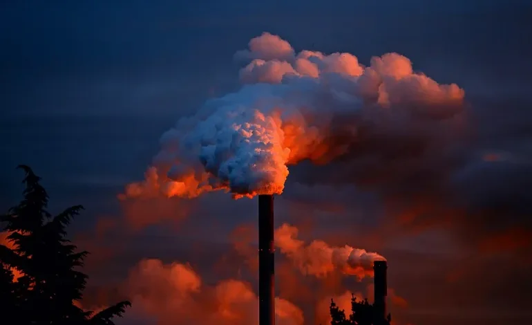 تفاقم الاحتباس الحراري رفع معدل الوفيات