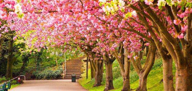 الطقس: ما الذي ينتظر لبنان خلال الأيام المقبلة... تابعوا التفاصيل