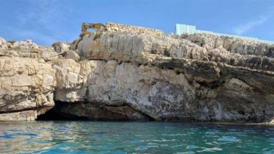 بالفيديو: ناشطون بيئيون يواجهون متعهدي ورشة مغارة الفقمة...