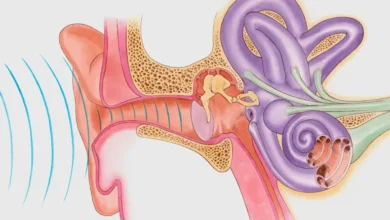 ‫التهاب الأذن الوسطى لدى الأطفال.. ما الأعراض والعلاج