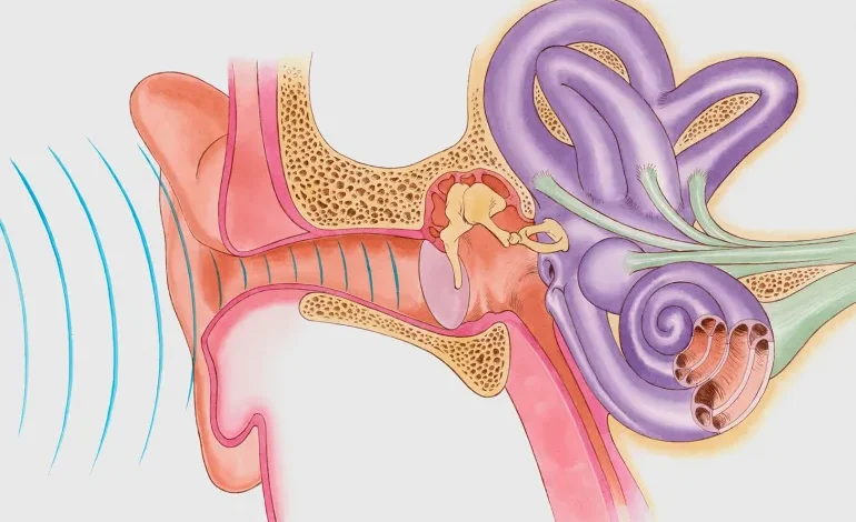 ‫التهاب الأذن الوسطى لدى الأطفال.. ما الأعراض والعلاج