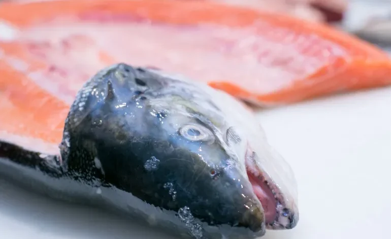 ‫أوميغا 3 صديقة القلب