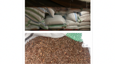 جمارك الشمال ضبطت مواد غذائية مهربة