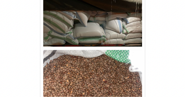 جمارك الشمال ضبطت مواد غذائية مهربة