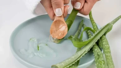 جل الألوفيرا أو الشيا.. أيهما أفضل لنمو الشعر