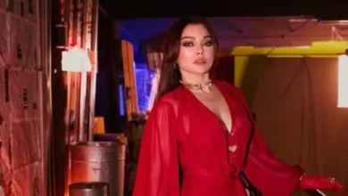 بلاغ من هيفاء وهبي للنائب العام