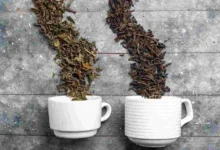 أيهما أفضل لنمو الشعر الشاي الأخضر أو الأسود..