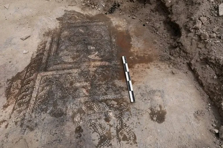 اكتشاف لوحة فسيفساء أثرية شمال غربي دمشق