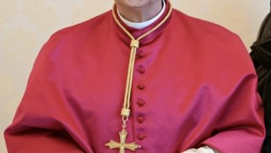 وصول البابا لاوون الى بازيليك سيدة لبنان - حريصا