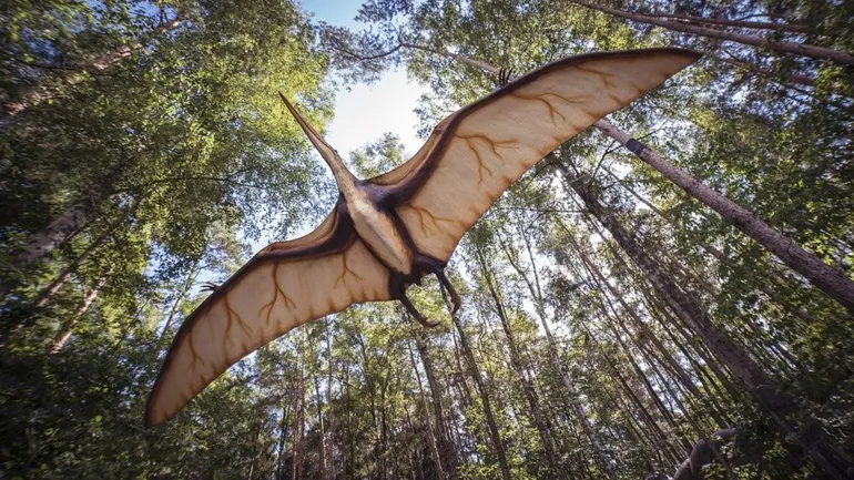 أحافير تكشف سر التيروصورات