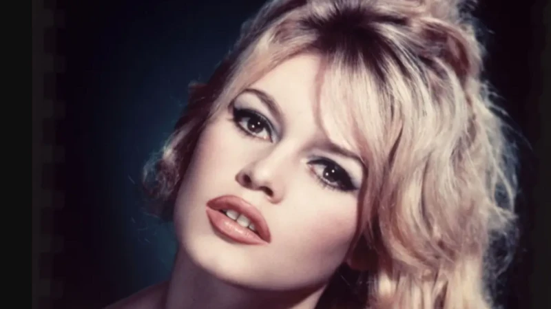 وفاة أيقونة السينما الفرنسية بريجيت باردو، فماذا نعرف عنها؟