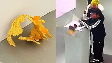 صبي يُتلف تاجا قيمته أكثر من 300 ألف دولار