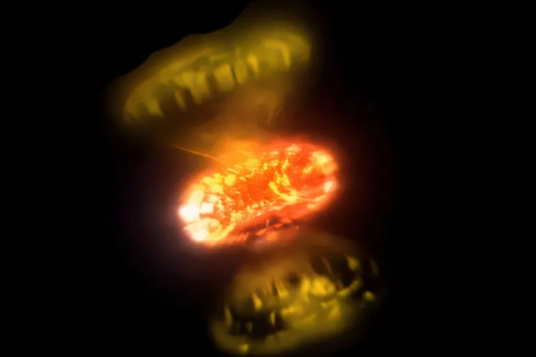 علماء يلتقطون صورا مقرّبة تكشف كيف تنفجر النجوم