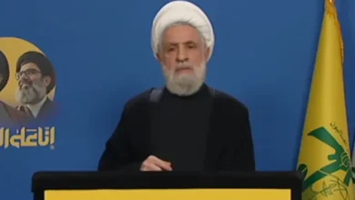 قاسم: الأولوية لوقف العدوان والانسحاب الإسرائيلي وإعادة الأسرى والإعمار