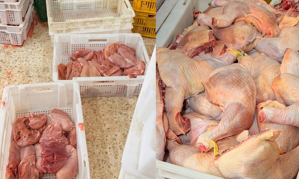 بالفيديو: ضبط مستودعَي دجاج مخالفَين لشروط السّلامة الغذائيّة!