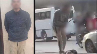 اعتدى على كلب بالضرب بعصا وتم ايقافه