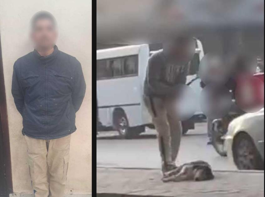 اعتدى على كلب بالضرب بعصا وتم ايقافه