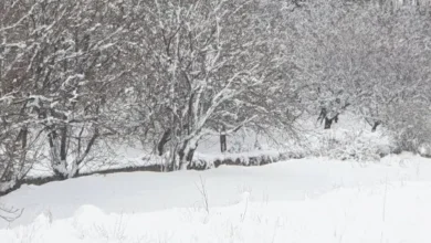 الثلوج غمرت بلدات قضاء بعلبك... تابعوا التفاصيل