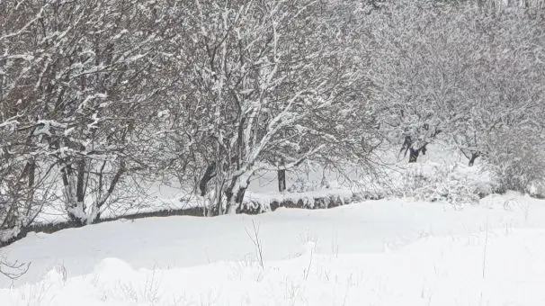 الثلوج غمرت بلدات قضاء بعلبك... تابعوا التفاصيل