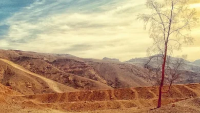 ما هي الأكثر السنوات جفافاً حول العالم؟