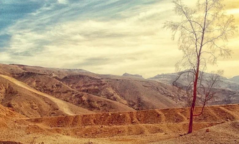 ما هي الأكثر السنوات جفافاً حول العالم؟