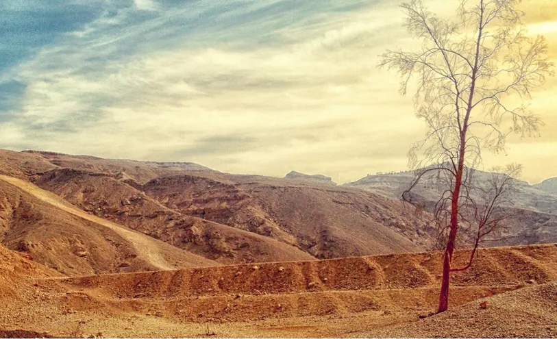 ما هي الأكثر السنوات جفافاً حول العالم؟