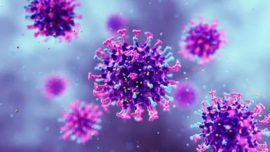 فيروسان حيوانيان قد يطلقان أوبئة بشرية مستقبلية