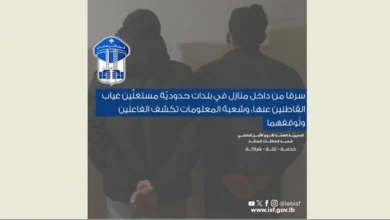توقيف سارقين "سوريين" من داخل منازل في بلدات حدوديّة