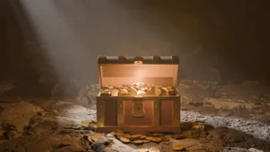 رفض الاحتفاظ بالكنز لنفسه واكتفى بالمكافأة