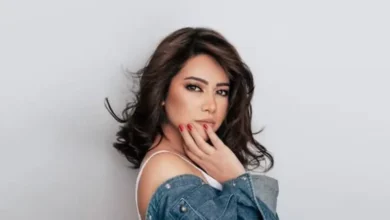 الفنانة شيرين تغير سكنها وتقيم في مكان سري