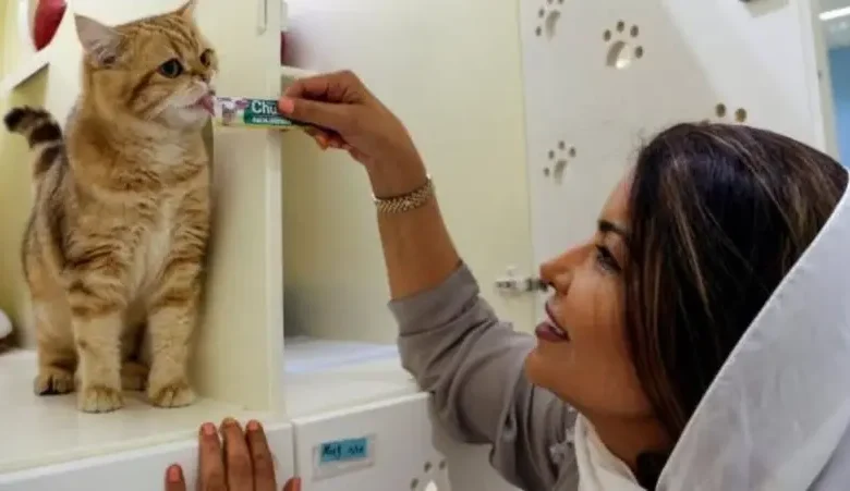 العلاج بالحيوانات.. كيف تحولت الكلاب والقطط إلى أداة طبية