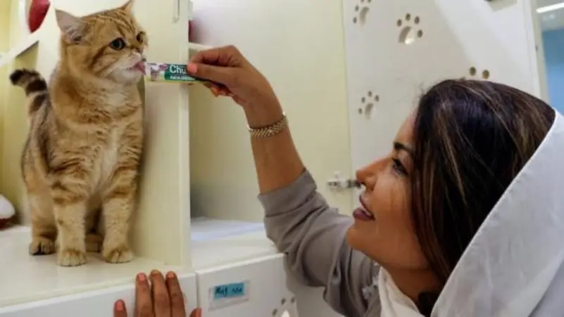 العلاج بالحيوانات.. كيف تحولت الكلاب والقطط إلى أداة طبية