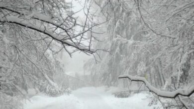 السماء تتهيأ... ماذا ينتظرنا في الأفق؟ تابعوا التفاصيل... 