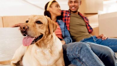 ابتكار غير مسبوق: حين أصبح كلام البشر مفهوماً لدى الكلاب