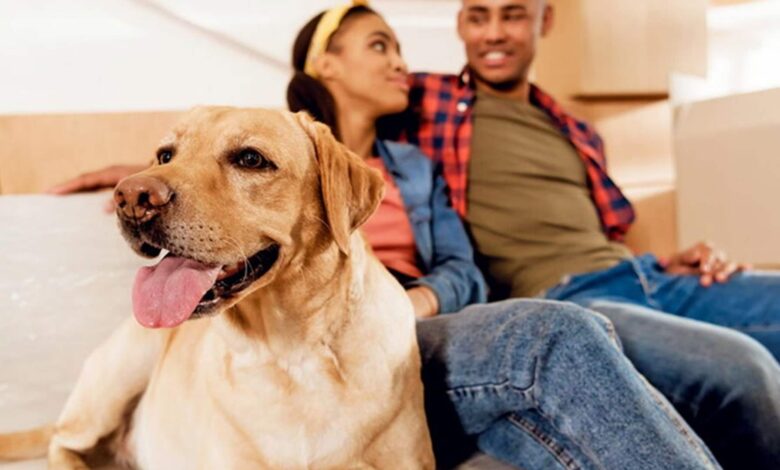 ابتكار غير مسبوق: حين أصبح كلام البشر مفهوماً لدى الكلاب