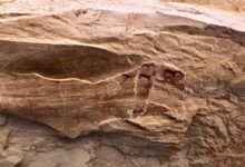 اكتشاف موقع نقوش صخرية يعود إلى 10 آلاف سنة في سيناء