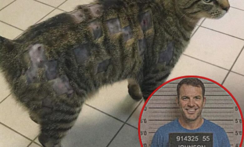 اعتدوا على حيوانٍ أعزل… فدفعوا الثمن بطريقة صادمة